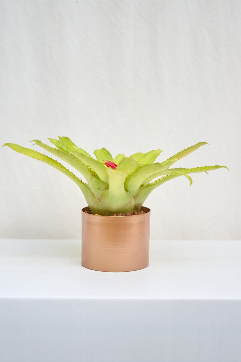 Matero Cobre Mate 5AM 14cms de Diámetro