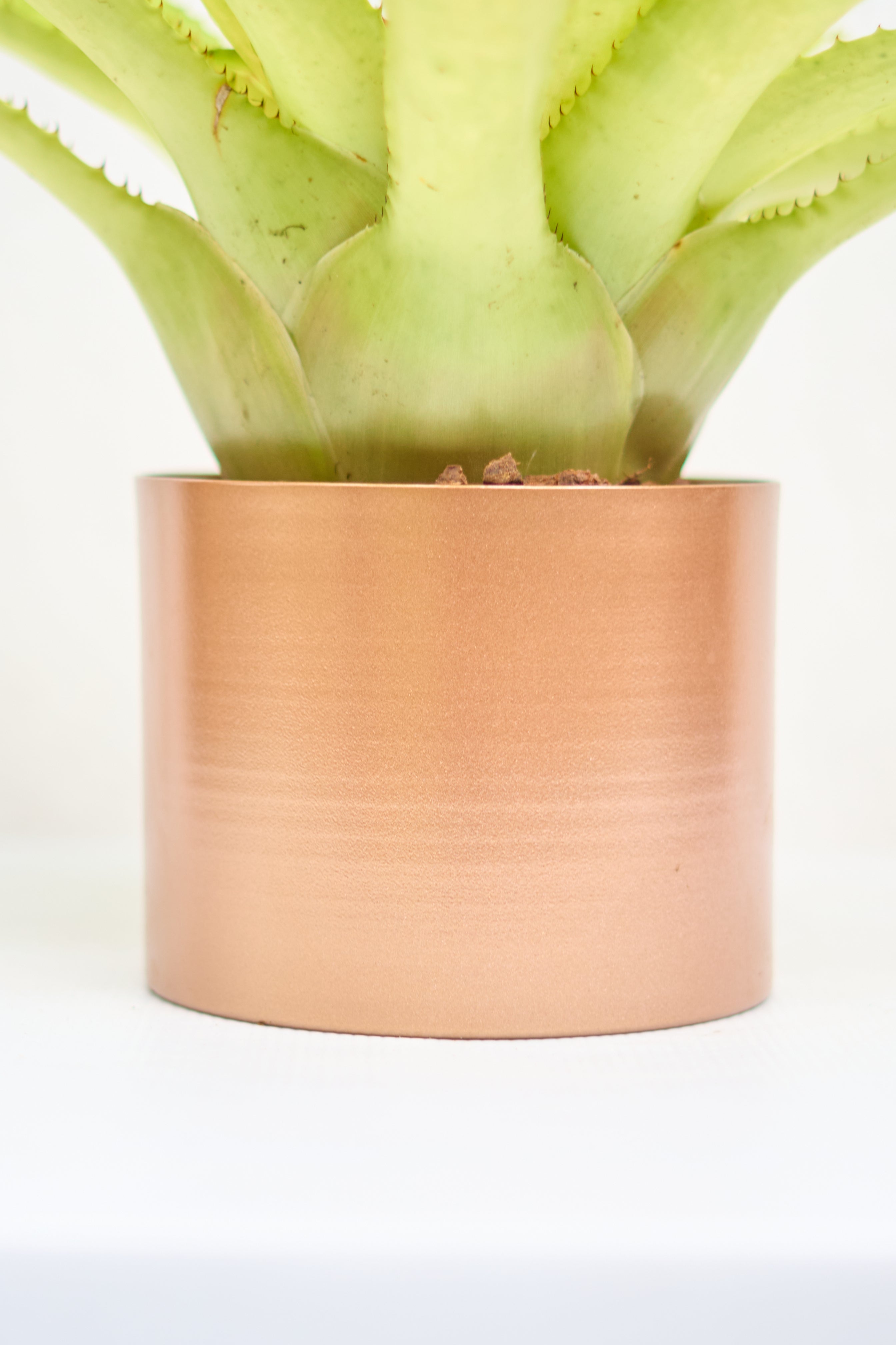 Matero Cobre Mate 5AM 14cms de Diámetro