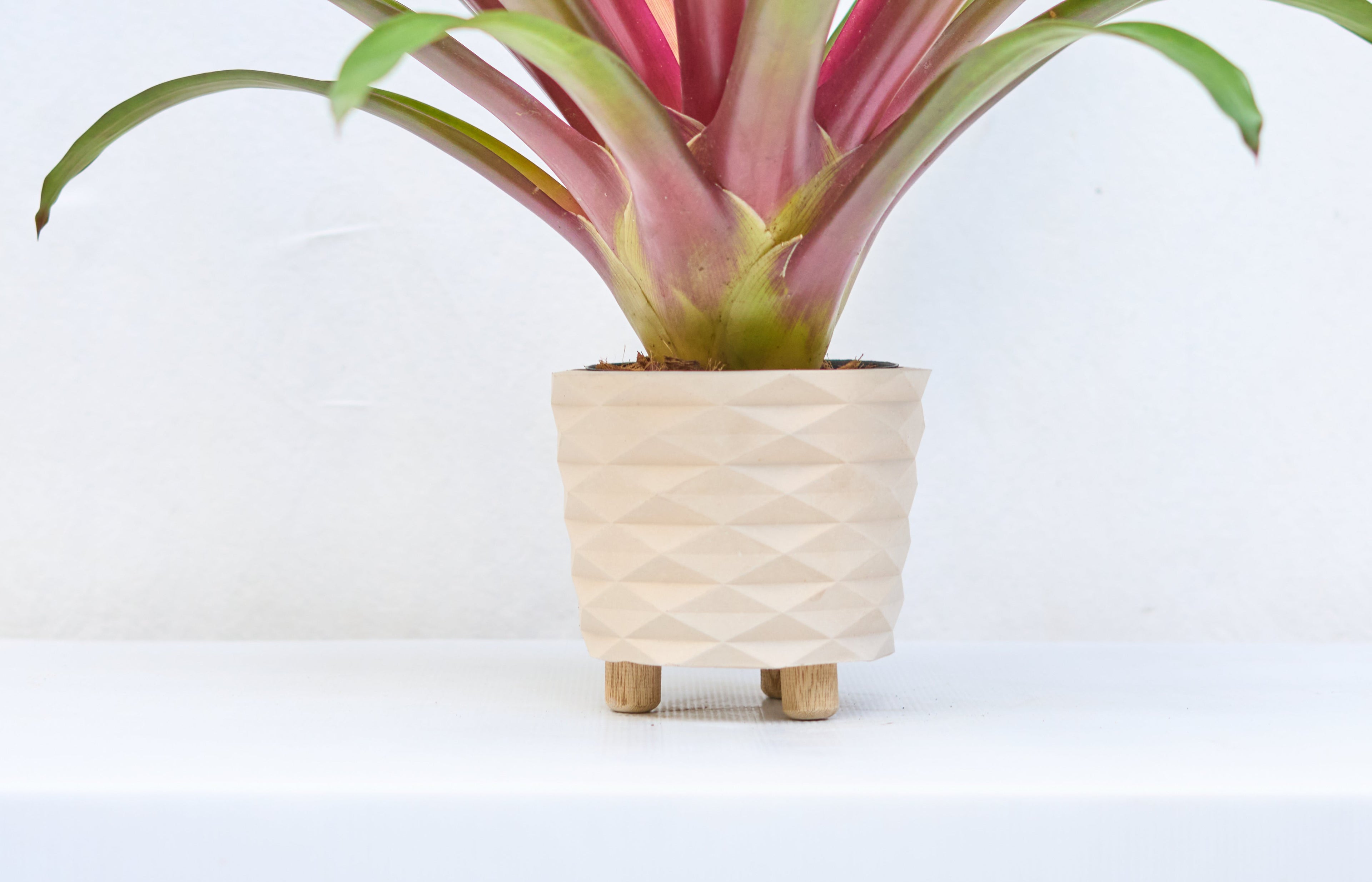 Matero Prisma con Patas 14cm de diámetro