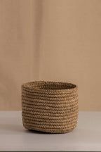 Canasto Fique 15cms de Diámetro - Casa Flora Vivarium