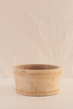 Combo 3 Phalaenopsis Grandes de 2 Tallos + Vasija Grande de Concreto con Acabado de Barro