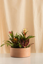 Matero Barro Tipo Ráquira 30cms de Diámetro