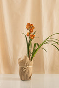 Orquídea Cymbidium Naranja