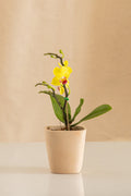 Matero Cuadrado Mini de Barro de 8cms de Diámetro